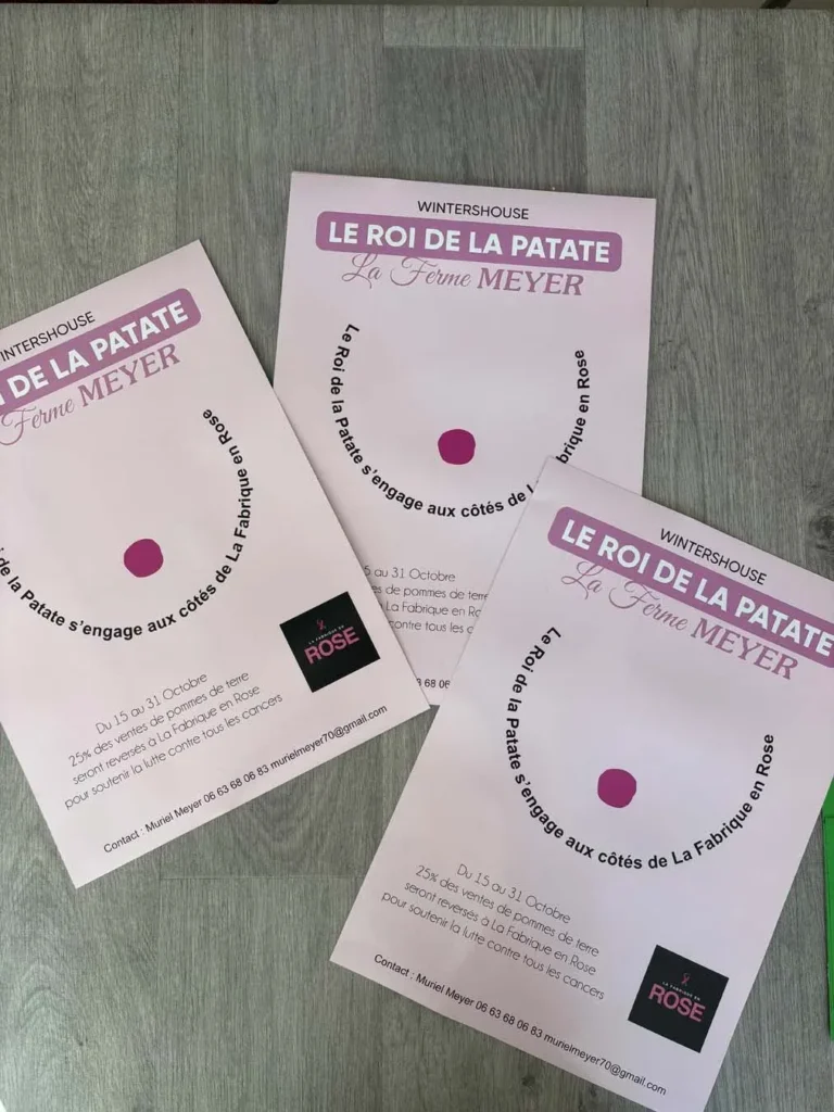 Impression d&rsquo;affiches adhésives – Octobre Rose à Wintershouse